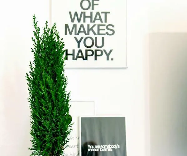 Large And Cozy 60 M2, Cracow Old Town Krakau