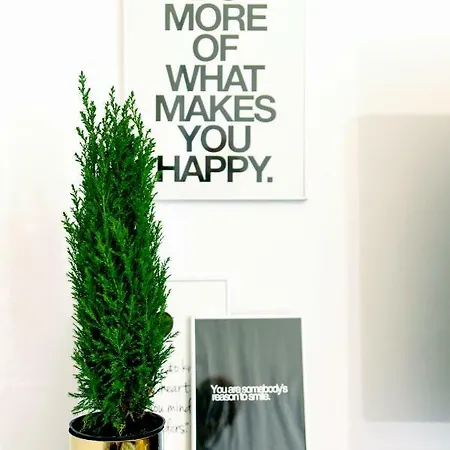 Large And Cozy 60 M2, Cracow Old Town קרקוב